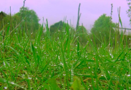 Точка росы.