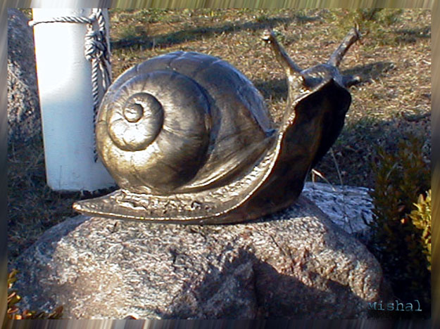 Улитка