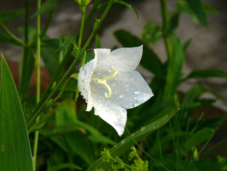 Лето 2003 [часть 3]