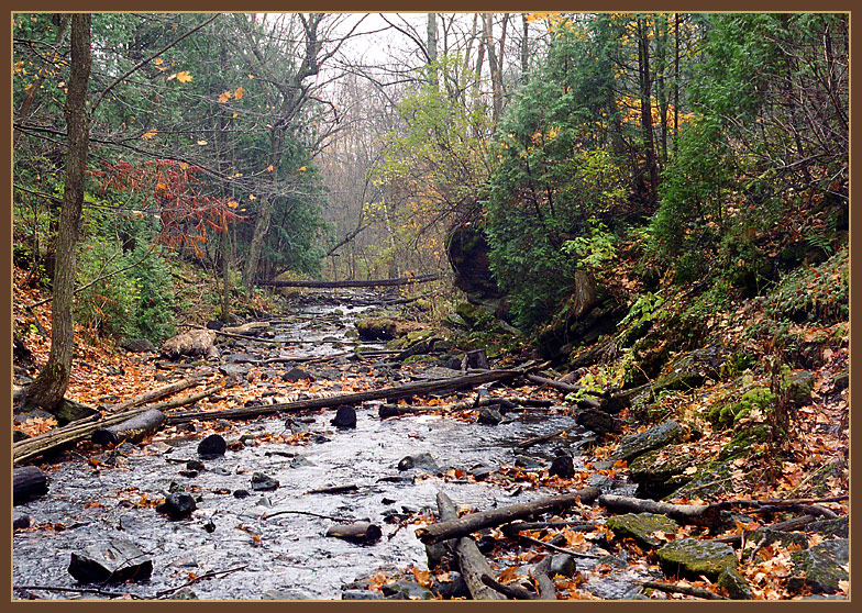 Hilton Falls (2)