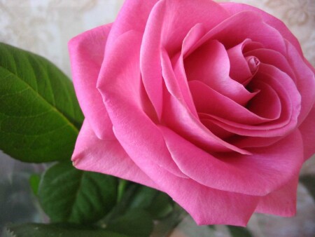 Подарок любимой маме!