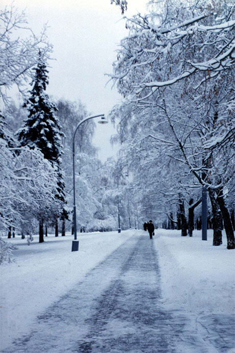 Самый короткий день