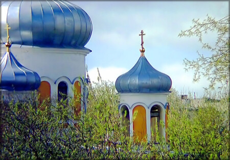 Молодая поросль