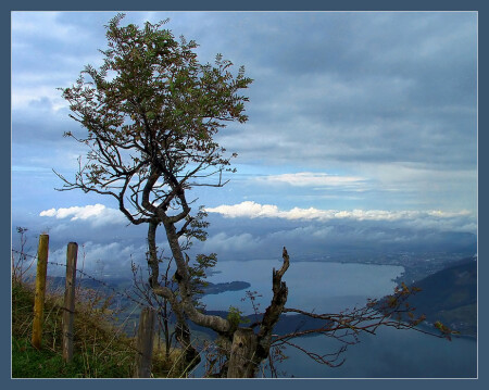 На краю обрыва