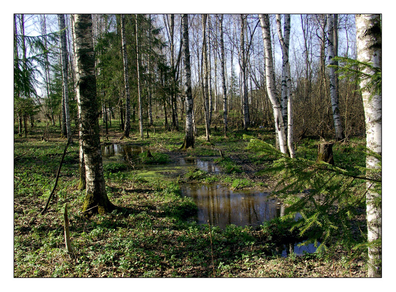 Весенние прогулки 3