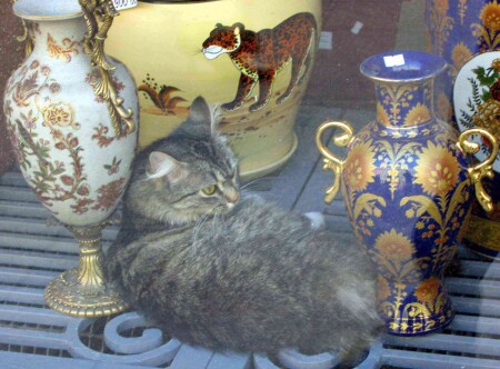 Ценный экспонат