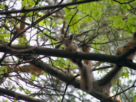 а я маленький такой.....