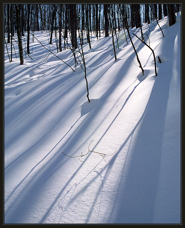 HorseShoe Valley (2)