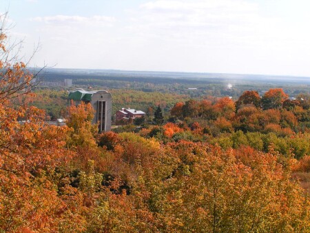 student view