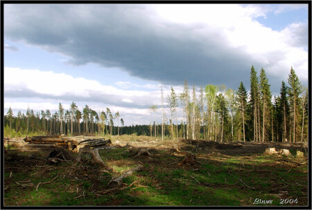 Поле брани ("Напасть")