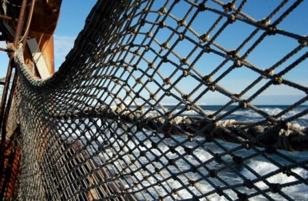 Море в сетку