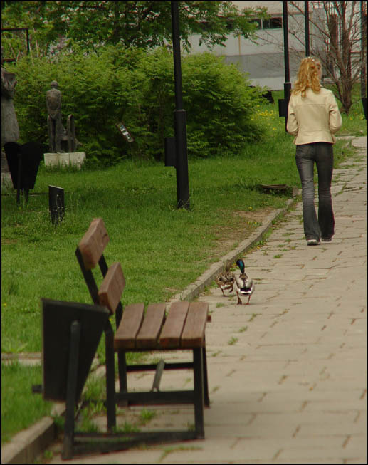 попки