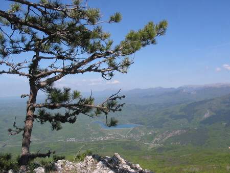 Умный в гору...