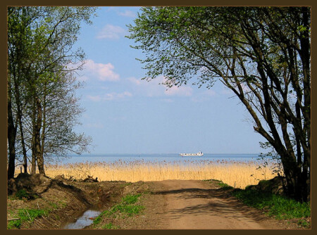 Дорога в море