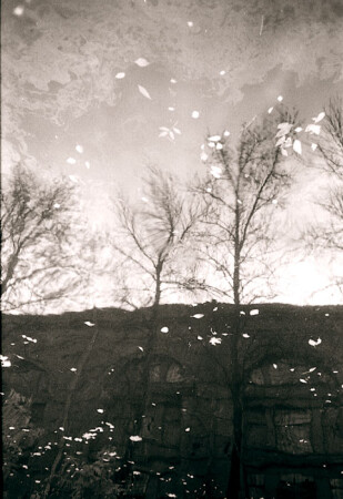 Лужа. Осенний глюк. 