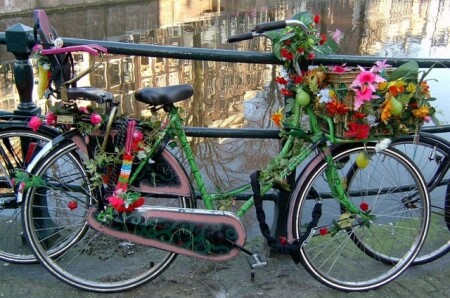 &amp;quot;велики в цвету- какое чудо !&amp;quot;