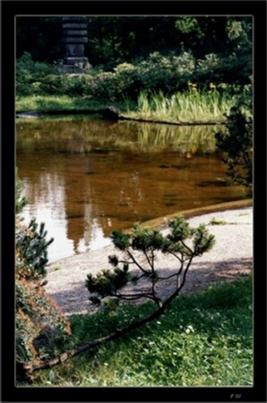 Этюд в коричневых тонах