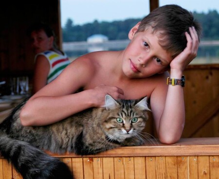 Вот и кончилось лето.