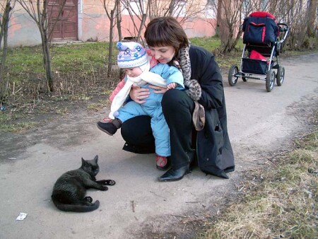 Кошка