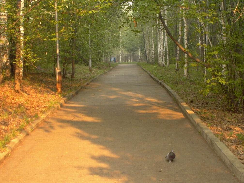 Весна...