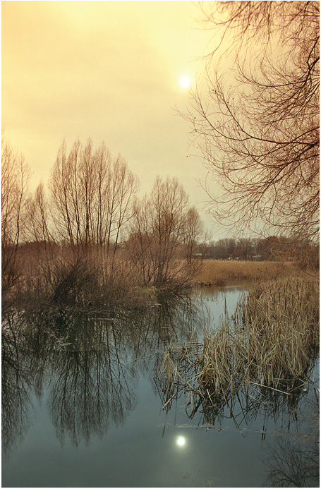 Bicolor landscape