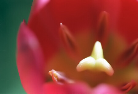 ...чуть ближе