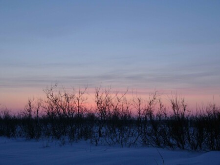 Заполярный круг. Последний рубеж