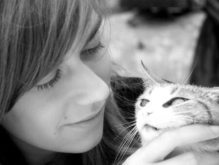 автопортрет