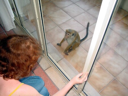 что-то я с утра...