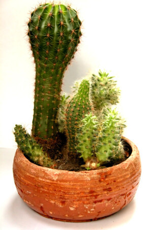 Mexico