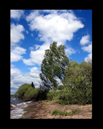 :ветер с Волги дул: