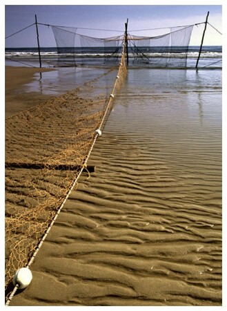 Balmedie Beach (1)