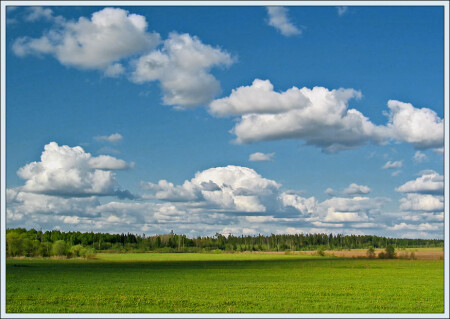 Белые барашки облаков.