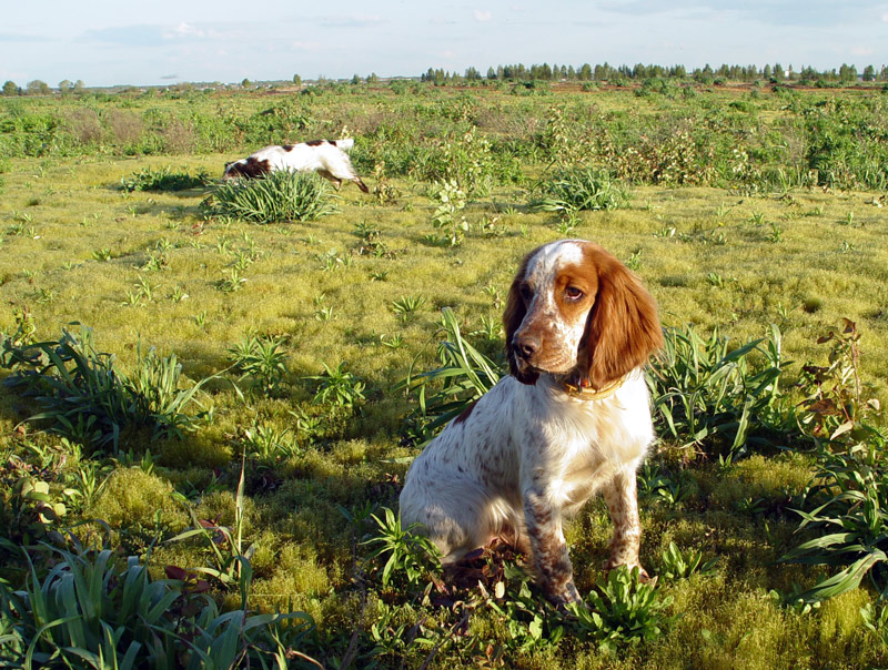 перекур