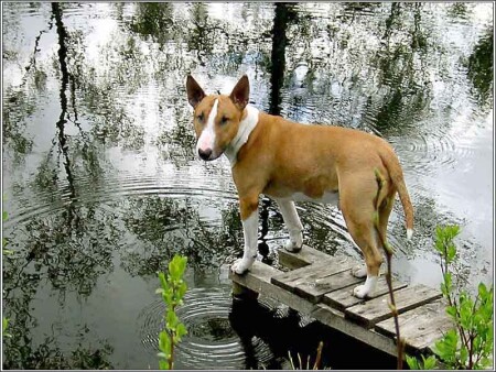 А вода то ещё холодная!