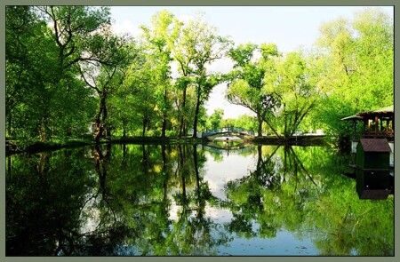 Парк культуры (кадр N15)