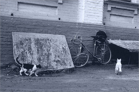 ТЕХ-осмотр