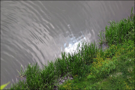 Взгляд с шестидесятиметрового моста на солнечный блик, прячущийся в прибрежную траву