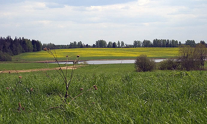 Пейзажик