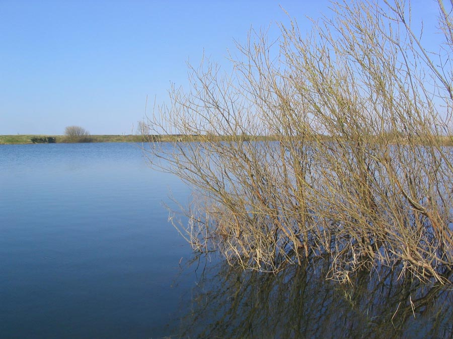 Жизнь в воде