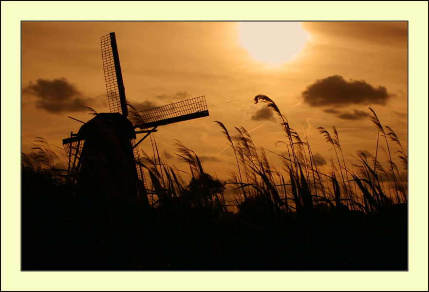 Molen