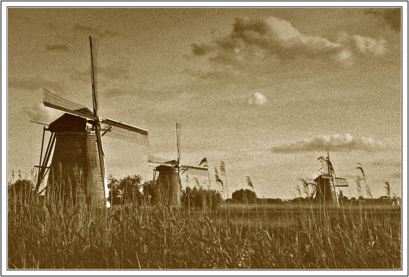 Molen (2)