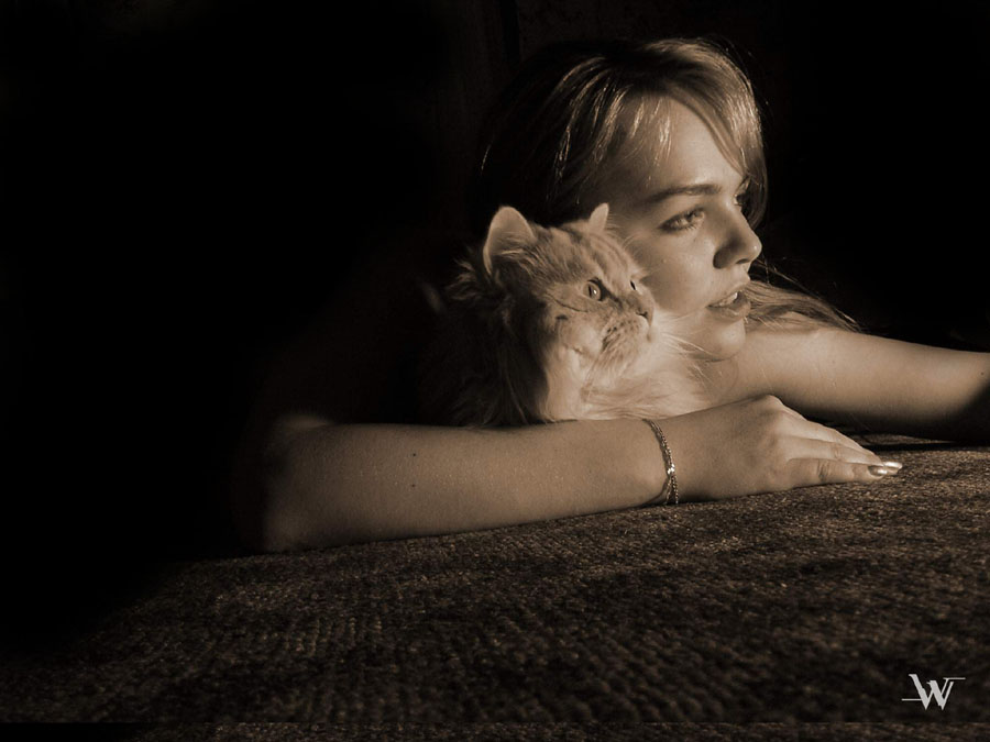 Cats