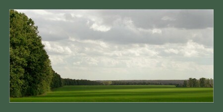 Поле