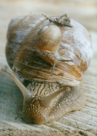 Не тратьте даром силы