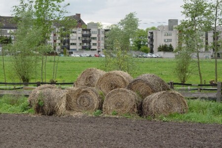 Парадоксы