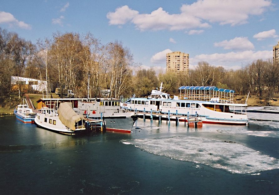 Весенний день на водном стадионе