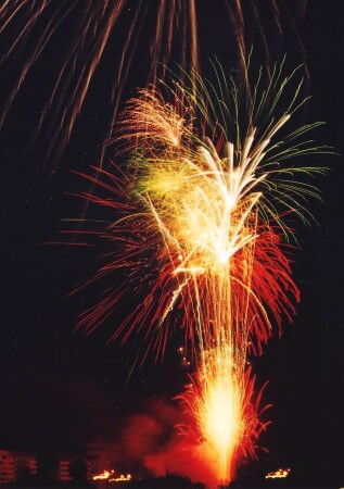 Огненный Цветок