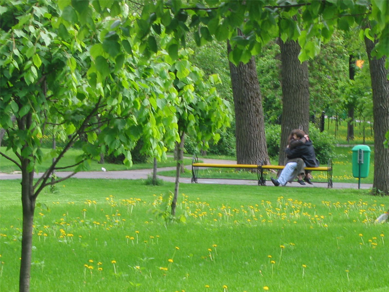 Лето-любовь