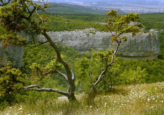 Воспоминания о Крыме...